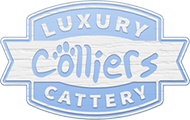 Colliers Cattery